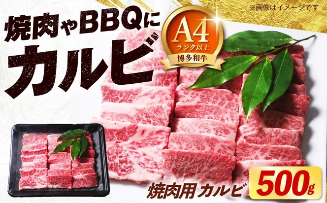 博多和牛 牛肉 焼き肉 バラ （カルビ） 500g 《築上町》【肉のくまもと屋】[ABEZ073]