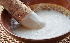 2026年12月発送 先行予約 十勝「忠類長いも」10kg (10～16本) L～2L［JA忠類］【 長芋 ながいも 山芋 芋 とろろ 野菜 根菜 産地直送 贈答 ギフト北海道 幕別 】