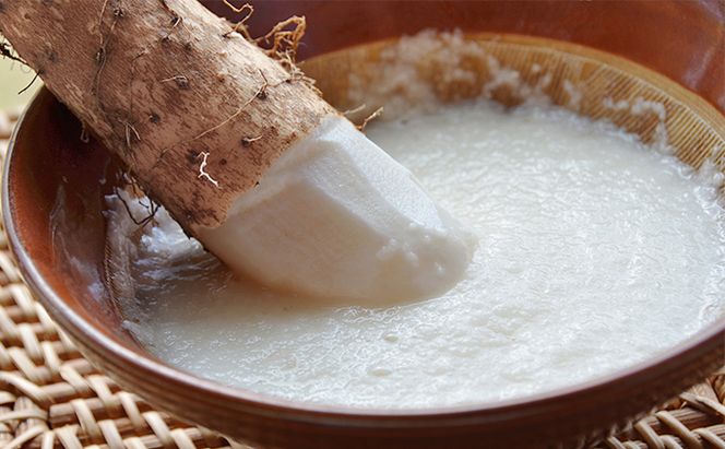 2026年12月発送 先行予約 十勝「忠類長いも」10kg (10～16本) L～2L［JA忠類］【 長芋 ながいも 山芋 芋 とろろ 野菜 根菜 産地直送 贈答 ギフト北海道 幕別 】