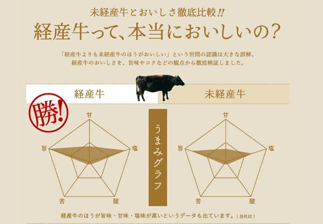 【累計1万パック突破！】但馬牛経産牛 すき焼き用（肩・モモ）500ｇ 010AA04N.／ すき焼き 黒毛和牛 赤身肉 いちかわ精肉店 経産牛 牛肉 国産 お鍋用 しゃぶしゃぶ すき焼きセット すき焼き肉 すき焼き鍋 冷凍