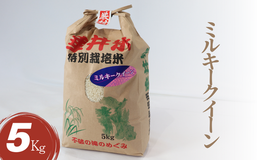 AL-5a 特別栽培米 垂井町産 ミルキークイーン 5kg