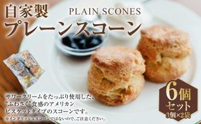 自家製プレーンスコーン 6個セット | スコーン プレーン プレーンスコーン 自家製 お菓子 菓子 おかし スイーツ 洋菓子 焼菓子 手作り サワークリーム アメリカンビスケットタイプ 冷凍