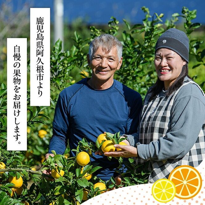 三柑シロップ (180ml×2本) 国産 檸檬 果実 果物 フルーツ 柑橘 デザート お菓子作り 常温配送 ドリンク シロップ 果汁 アレンジ レモネード ソーダ割 紅不知火 紅甘夏 【桐野柑橘株式会社】akn070-23