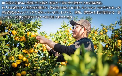 【先行予約】【数量限定】不知火5kg（石崎農園）※離島への配送不可 （2026年2月10日より順次発送予定） IKTAG002 