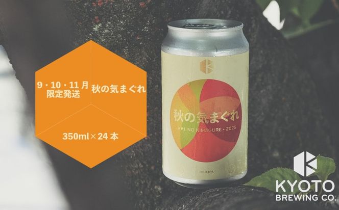ys{sszyszs̃Ntgr[IC܂ 24{Zbg m s r[  nr[ Ntgr[ 350ml ʃr[ lC   ʔ  傤Ƃ傤 ӂ邳Ɣ[ n 261009_B-BR20