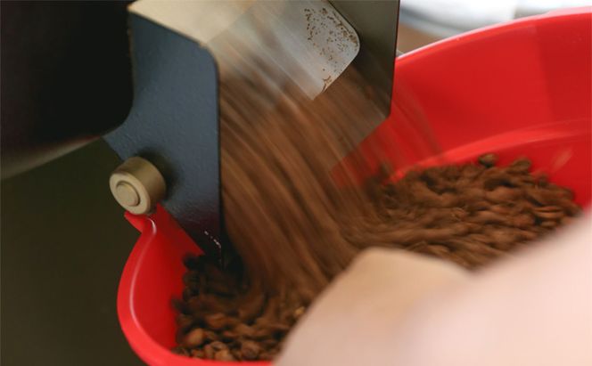 【定期便6ヶ月】コーヒー 豆 1袋 200g  キノシタショウテン コーヒー豆 