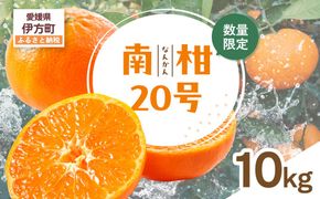 【先行受付】【数量限定】南柑20号（生果）10kg（2026年12月上旬頃より順次発送）IKTQ003