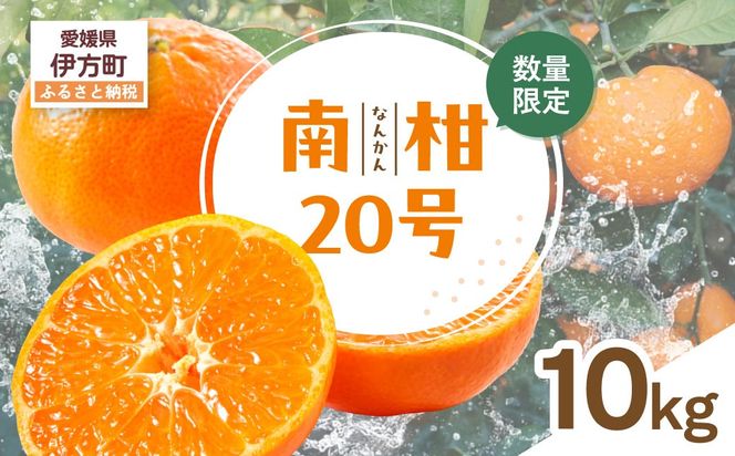 【先行受付】【数量限定】南柑20号（生果）10kg（2026年12月上旬頃より順次発送）IKTQ003