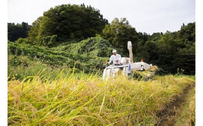 【玄米】江戸伝承厳選棚田米１０kg（５kg×２） お米 コメ 10kg 