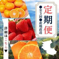 定期便 ●全3回● 産地直送 定期便【温州みかん・まりひめ・紀州デコ】 / フルーツ 果物 みかん いちご  旬 定期便  【tkb352】