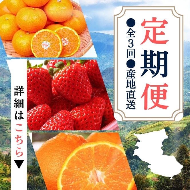 定期便 ●全3回● 産地直送 定期便【温州みかん・まりひめ・紀州デコ】 / フルーツ 果物 みかん いちご  旬 定期便  【tkb352】