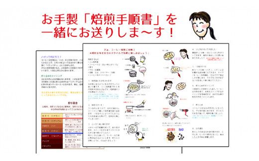 コーヒー 自家焙煎 セット コーヒー豆 200ｇ 2種 × 100ｇ コーヒー ブレンド 生豆 焙煎 初心者 お手軽 ［BN007us］