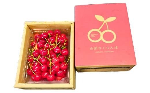 FYN9-937 ≪2026年先行予約≫山形県産 さくらんぼ 紅さやか 500g 秀品 M～L バラ詰め 2026年6月上旬から順次発送 酸味あり 果実 果物 くだもの フルーツ 早生 桜桃 サクランボ お菓子作り 加工 自宅用 家庭用 山形県 西川町 月山