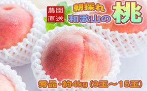 ［農園直送］朝採れ和歌山の桃　約4kg・秀品★2026年6月下旬～8月中旬頃順次発送★［TM168］ 303446_XH021