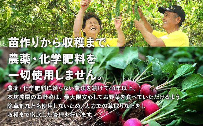 特別栽培季節のお野菜セット 8品 野菜 無農薬 有機栽培 新鮮 やさい 旬 詰合せ 国産 宮崎県 九州 送料無料