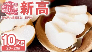 梨 新高 10kg（20～26個）【令和6年10月より発送開始】（茨城県共通返礼品：石岡市産）田舎の頑固おやじが厳選！ なし 新高梨 和梨 フルーツ 果物 くだもの 高糖度 ギフト 茨城 [BI307-NT]