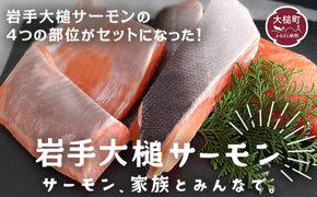岩手大槌サーモン ～家族とみんなで。～ 700g～800g｜サーモン国産 刺身 刺身冷凍 小分け サーモン 冷凍 岩手県大槌町【0tsuchi01311-202506】