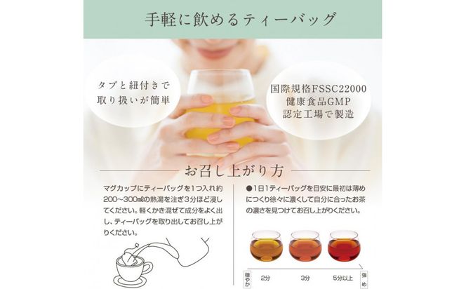 日本第一製薬　どっさりでるっ茶1袋30包入（ノンカフェイン） 312011_GJ001