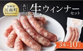 【冷凍】あじ豚生ウインナーセット 【 肉 豚 豚肉 あじ豚 ウインナー 生ウインナー 宮崎県産 川南町産 】[B00215]
