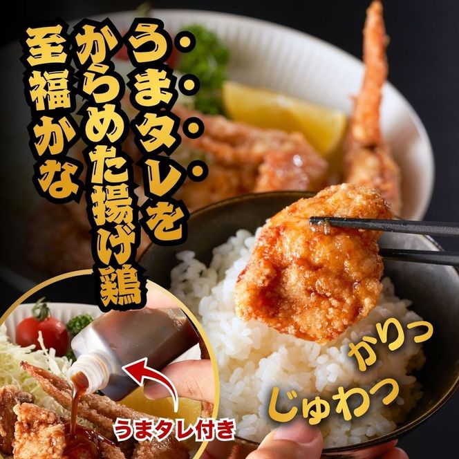 唐揚げ 大分からあげ 600g （モモ、とりトロ、ムネ、ずり、手羽先）唐揚げ うまタレ付き  【からあげ壱気】0B1-119 