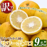 ＜先行予約受付中！2027年2月下旬以降順次発送予定＞訳あり！まなべみかん園のサワーポメロ (約9.5kg) 国産 鹿児島県産 阿久根市産 柑橘類 みかん ミカン 蜜柑 果物 フルーツ サワーポメロ 数量限定 デザート 訳アリ 【有限会社まなべみかん園】akn034-08