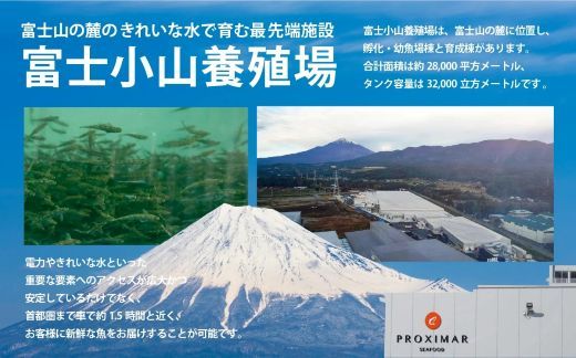 国産 小山町産 アトランティックサーモン 冷凍 グラブラックス 80g×4パック