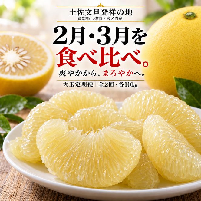 土佐文旦 大玉 定期便 全2回 各回10kg 合計20kg 家庭用 日本ギフト大賞受賞 文旦発祥の地 園主こだわり 2月 3月 食べ比べ 高知県土佐市産 高知県産 国産 10キロ ぶんたん みかん 柑橘類 高級フルーツ 果物 産地直送 お取り寄せ ギフト 先行予約 やの一果彩[BQAC009]