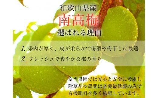 【梅干・梅酒用】（2LまたはL－2Kg）熟南高梅＜2025年6月上旬～7月上旬ごろに順次発送予定＞/梅 フルーツ 梅酒 青梅 生梅 南高梅 完熟 【art010A】