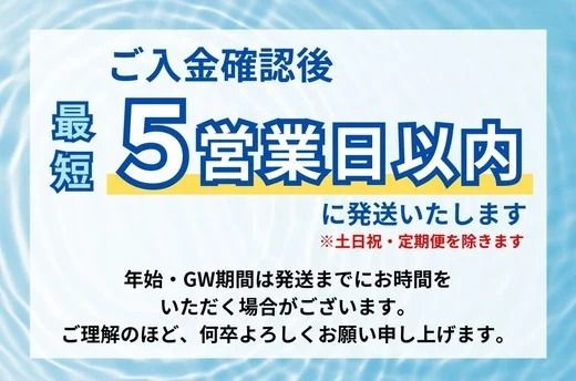《最短5営業日以内発送》静岡県産 緑茶 500ml×24本 ｜ ラベルレス ペットボトル お茶 飲料 ※沖縄・離島への配送不可