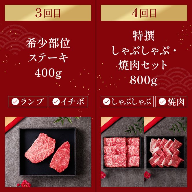 肉【定期便全4回】【和牛セレブ】能登牛 定期便「エコノミークラス」全4回 特選 しゃぶしゃぶ すき焼き 焼肉 ステーキ ギフト 石川県 能美市 172111_DB044