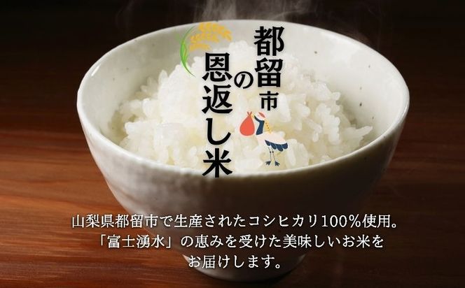 yRsszyߘaVNYVāzRssYЂ@ss̉Ԃ@Iׂe[5kgE10kg] @HW003.HW004
