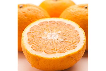 ＜4月より発送＞厳選 甘夏柑1kg+250g（傷み補償分）◇【初夏のみかん・旬の果物】【有田産】【光センサー食べ頃出荷】 ※北海道・沖縄・離島への配送不可　※2026年4月上旬～5月下旬頃に順次発送予定