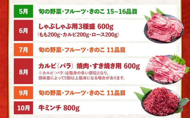 【12回定期便】長崎和牛と旬の野菜が楽しめる バラエティ定期便 / 野菜定期便 やさい定期便 肉定期便 牛肉 / 南島原市 / 贅沢宝庫[SDZ054]