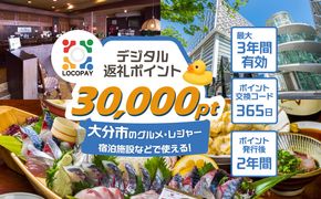 【P01093】LOCOPAYデジタルポイント【30,000ポイント】