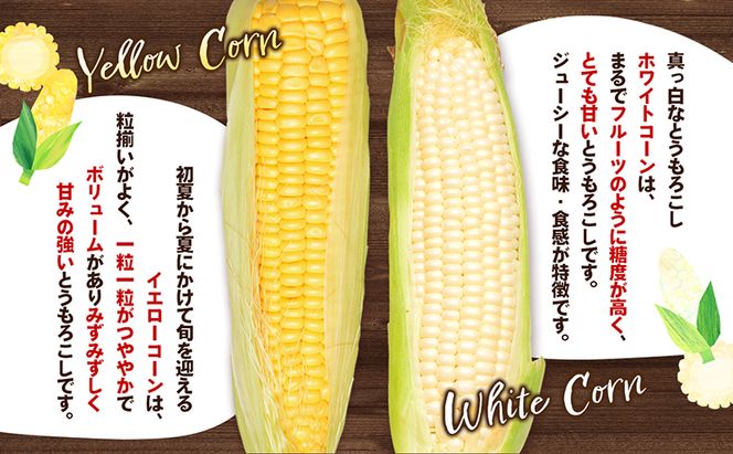 とうもろこし食べ比べセット　約5kg 野菜 野菜セット とうもろこし イエローコーン ホワイトコーン 詰合せ 