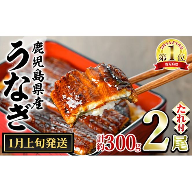 【0124326a-2601】＜1月上旬発送予定＞東串良町のうなぎ蒲焼(無頭)(2尾・計約300g・タレ、山椒付) うなぎ 高級 ウナギ 鰻 国産 蒲焼 蒲焼き たれ 鹿児島 ふるさと 人気【株式会社アクアおおすみ】