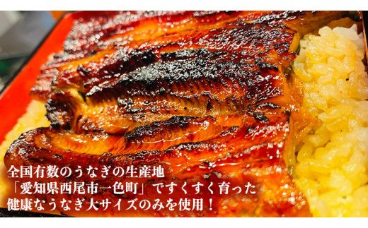 国産 うなぎ 蒲焼 大サイズ 2尾 【 日本料理 ひたち野いしざき 秘伝 の たれ焼き 】 鰻 ウナギ おいしい 美味しい 蒲焼き かばやき 丑の日 土用の丑の日 土用 グルメ おかず お取り寄せ お土産 贈り物 贈答 お祝い 記念日 ギフト 茨城 魚 [BO001us]