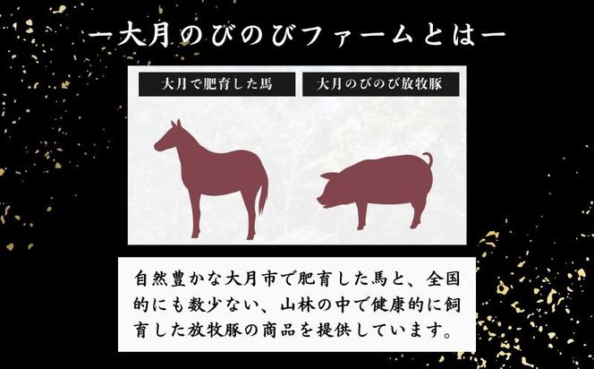 赤身の馬刺し ヒレ・ロース 約300g