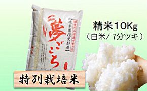 【令和7年産】特別栽培米 10kg【白米、7分ツキ】（夢ごこち）
