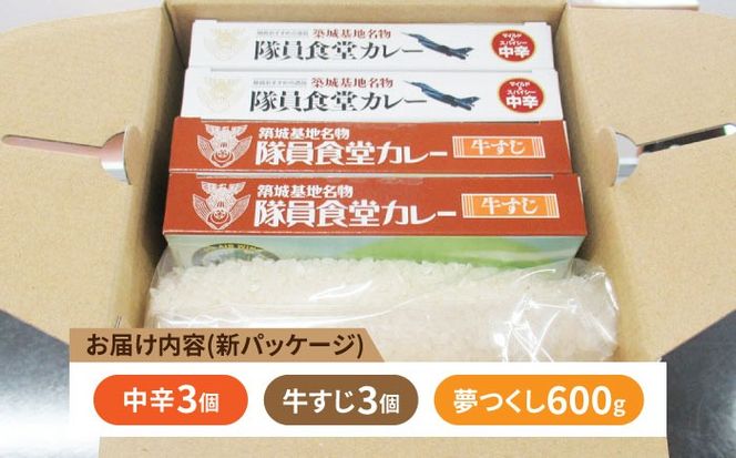 隊員食堂カレー（中辛２個・牛すじ２個）・お米600ｇセット《築上町》【NPO法人築上町観光協会】贈答 限定 レトルト 個包装 夢つくし[ABAX006]