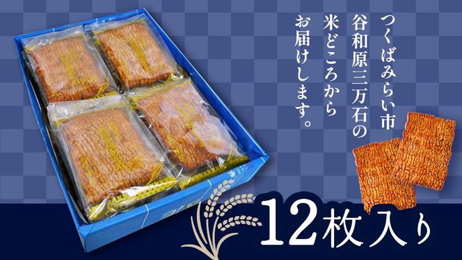 【 お歳暮 熨斗付 】 大角手焼きあられ 詰合せ 12枚入り おいしい おやつ 引っ越し 御礼 お取り寄せ 慶事 弔事 長期保存 退職 あられ 煎餅 せんべい [AB09-NT]
