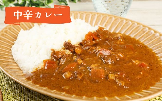 隊員食堂カレー（中辛２個・牛すじ２個）・お米600ｇセット《築上町》【NPO法人築上町観光協会】贈答 限定 レトルト 個包装 夢つくし[ABAX006]