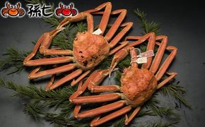【おすすめ】本ずわいがに約700g×2尾（孫七タグ付き） ※2025年11月中旬～2026年3月中旬頃に順次発送予定