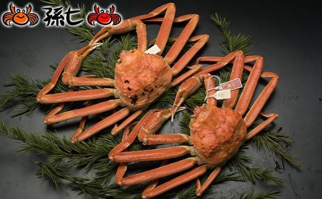 【おすすめ】本ずわいがに約700g×2尾（孫七タグ付き） ※2025年11月中旬～2026年3月中旬頃に順次発送予定