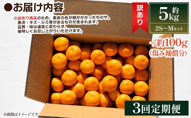 【３回定期便】露地みかん(2S～Mサイズ) 5kg 家庭用 丸萬農園 - 果物 くだもの フルーツ 果実 柑橘 かんきつ 蜜柑 みかん ミカン 果汁 期間限定 訳アリ 家庭用 自宅用 キズ 傷 丸萬農園 高知県 香南市 Wmn-0018