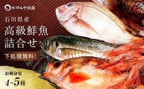 石川県・加賀市 旬の鮮魚 ( 刺身用/下処理済 ) 詰合せ 4～5種 復興　震災　コロナ【能登半島地震復興支援】 北陸新幹線 F6P-0974