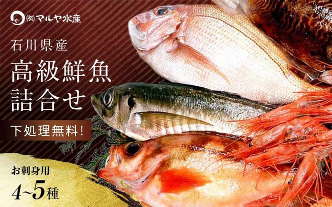 石川県・加賀市 旬の鮮魚 ( 刺身用/下処理済 ) 詰合せ 4～5種 復興　震災　コロナ【能登半島地震復興支援】 北陸新幹線 F6P-0974