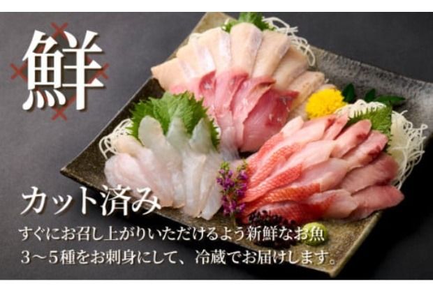 ほんとにおいしい！室戸のお刺身　３～５種盛り合わせお楽しみセット2人前 刺身 刺身盛り合わせ 旬の鮮魚 高知県産 鮮魚 海鮮丼 漬け丼 寿司 惣菜 10000円