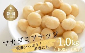 マカダミアナッツ1kg（900ｇ＋100g）　FB024