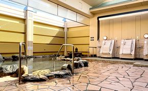 海津温泉　日帰り入浴　回数券 チケット 温泉利用券 旅行 日帰り旅行 癒し 休息 リフレッシュ レジャー お出かけ 体験型 